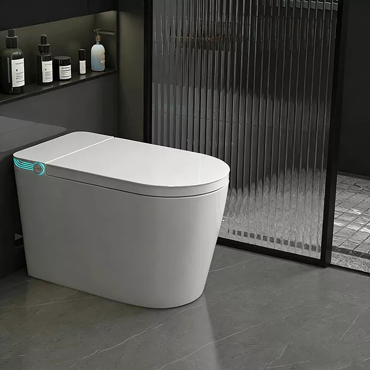 وائرليس ريموٽ-ڪنٽرول اسپري Nozzle Sterilization Smart Toilet